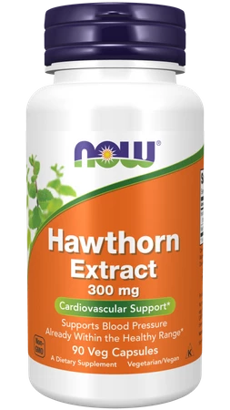 Hawthorn Extract 300 mg (90 kaps.)