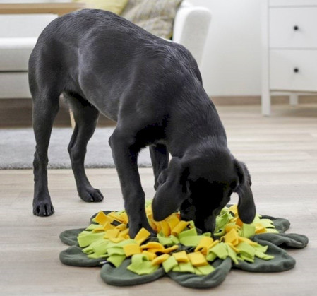 KERBL Mata węchowa Sunflower Zabawka sensoryczna 40cm