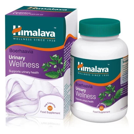 Herbal Healthcare Wellness Boerhaavia suplement diety na drogi moczowe 60 kapsułek