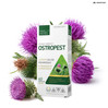 Medica Herbs Ostropest 60 kaps