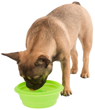 KERBL Miska silikonowa podróżna dla psa 1000 ml