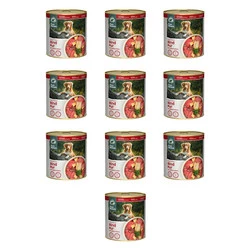 Zestaw 10x PURE NATURE DOG Rind Pur - wołowina z batatami i jabłkami dla dorosłych psów (800g)