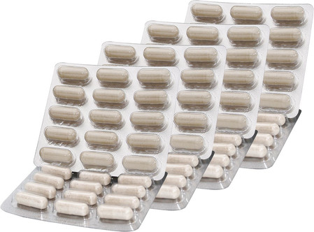 NUTRAPLAQUE FOR DOGS & CATS 120 kaps.