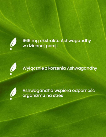 ESSENSEY ASHWAGANDHA FORTE 90cap