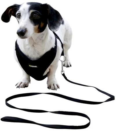 KERBL Uprząż dla szczeniąt ze smyczą Czarna 30-50cm