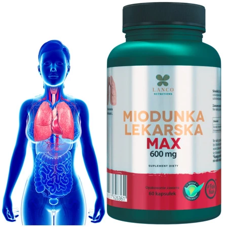 Lanco Nutritions MIODUNKA LEKARSKA MAX 600mg na wsparcie płuc 60 kaps.