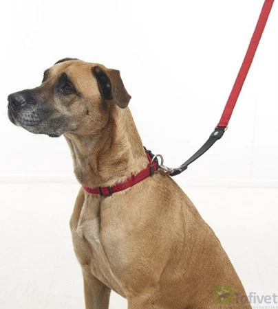 BUSTER NEOPRENE BUNGEE Smycz Zielona S/M 120cm