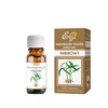 Etja, Naturalny olejek eteryczny imbirowy, 10 ml