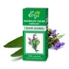 Etja - Naturalny olejek eteryczny z szałwii lekarskiej - 10 ml