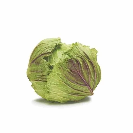 OXO-Pojemnik do przechowywania M biały, Good Grips