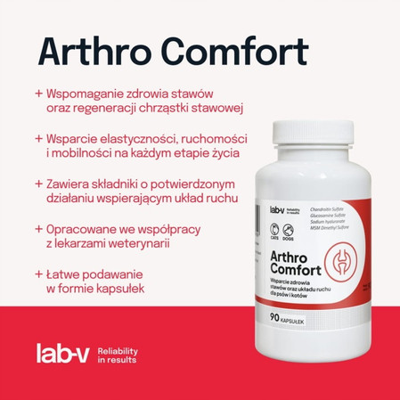 LAB-V Arthro Comfort - suplement dla psa i kota na stawy - 90 szt.