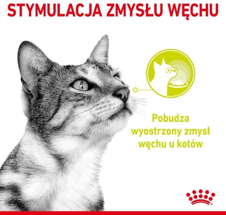 ROYAL CANIN Sensory Smell w sosie 85g