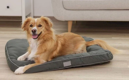 KERBL Materac Jerome ciemnozielony 60 x 40cm