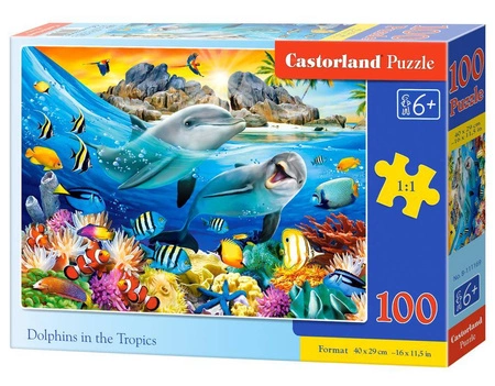 Puzzle 100 Delfiny w tropikach B-111169 -