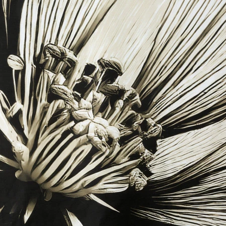 Komplet pościeli 220X200 70X80/X2