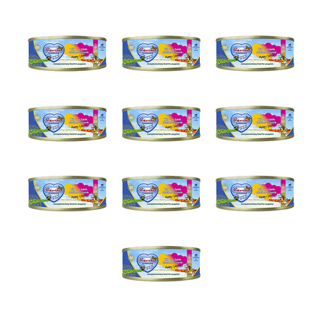 Zestaw 10x Renske Chicken with lamb – świeży kurczak z jagnięciną dla szczeniąt (95g)