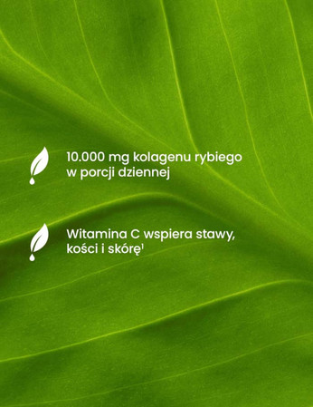 Essensey Kolagen Rybi 10000 mg na stawy, włosy z kwasem hialuronowym 321g smak zielona herbata