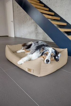 PALOPA Legowisko dla psa bawełniane Fred humus M