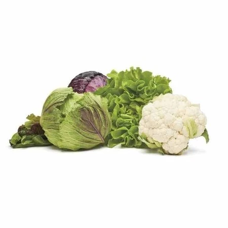 OXO-Pojemnik do przechowywania M biały, Good Grips