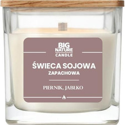 Big Nature Świeca sojowa o zap. Piernik i Jabłko 220g