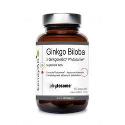 KENAY Ginkgo Biloba Ginkgoselect® PLUS Phytosome® na wsparcie pamięci, koncentracji i krążenia mózgowego 60 kaps.