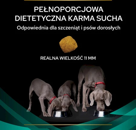 PURINA PVD EN Gastrointestinal Canine 1,5kg