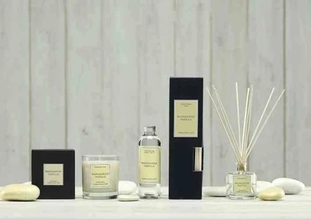 CM - Dyfuzor Santiago Reed 100ml. Madagascar van