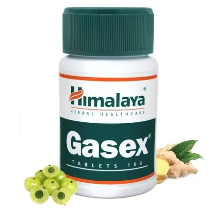 Himalaya − Gasex − 100 tabl.