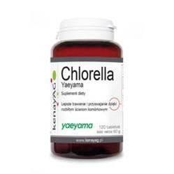 KENAY Chlorella Yaeyama na wsparcie układu odpornościowego i uzupełnienie diety w składniki odżywcze 120 tabl.