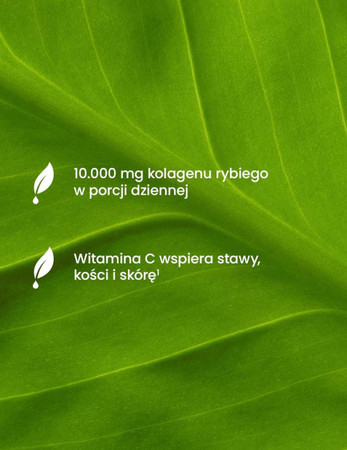 Essensey Kollagen Rybi 10000 mg na stawy, włosy z kwasem hialuronowym 321g smak zielona herbata