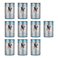 Zestaw 10x Rockster A fisherman's dream - BIO łosoś, kalmary i małże (400 g)