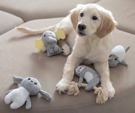 KERBL Zając Zabawka pluszowa dla szczeniąt