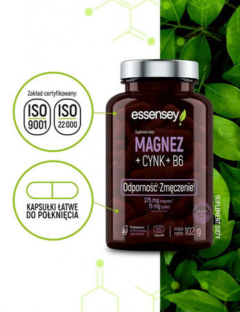 ESSENSEY MAGNEZ+CYNK+B6 120 kaps