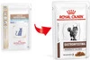 ROYAL CANIN VET GASTRO INTESTINAL Moderate Calorie Feline 85g