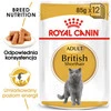 ROYAL CANIN British Shorthair Adult w sosie 85g