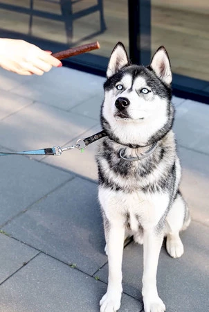 Happy Snacky NAPSANOSY Kabanosy ze Strusia 7szt.