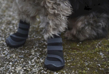 KERBL Buty dla psa Active M 6,5 x 6cm