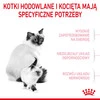ROYAL CANIN Mother / BABYCAT 400g