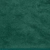 Ręcznik Amy3 (20) 80 x 150 cm, Ciemnozielony