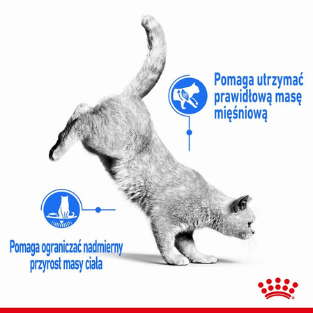 ROYAL CANIN Light Weight Care w sosie 85g