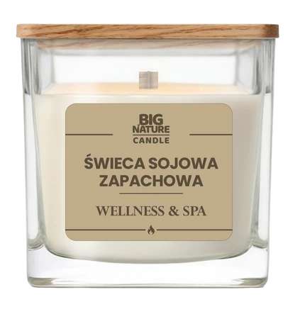 Big Nature Świeca sojowa o zapachu WELLNESS&SPA 220g