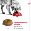 ROYAL CANIN Maxi Ageing 8+ L 15kg