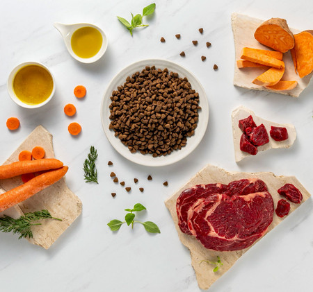 Vet Expert RAW PALEO Mini Adult Ultra Beef 2kg