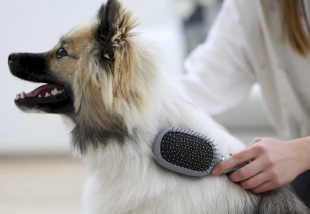 KERBL Szczotka miękkie włosie i metalowe ząbki 24cm