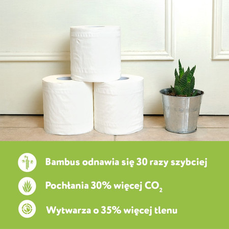 Cheeky Panda, Papier toaletowy trzywarstwowy, 4 rolki