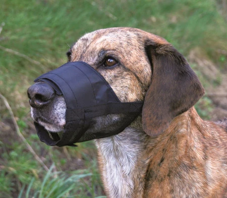 TRIXIE Kaganiec poliestrowy z siatką 1 S