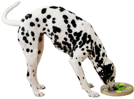 KERBL Switch Zabawka edukacyjna dla psa