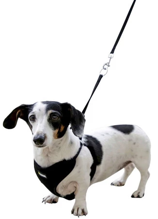 KERBL Uprząż dla szczeniąt ze smyczą Czarna 30-50cm