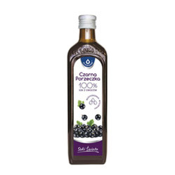 Sok z owoców czarnej porzeczki 490 ml