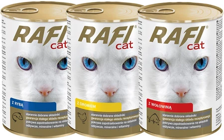 DOLINA NOTECI RAFI Cat Ryba 415g